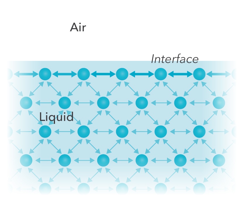 What is surface tension top